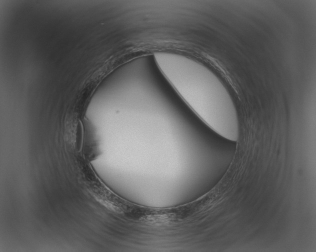X0000084540307200702230915