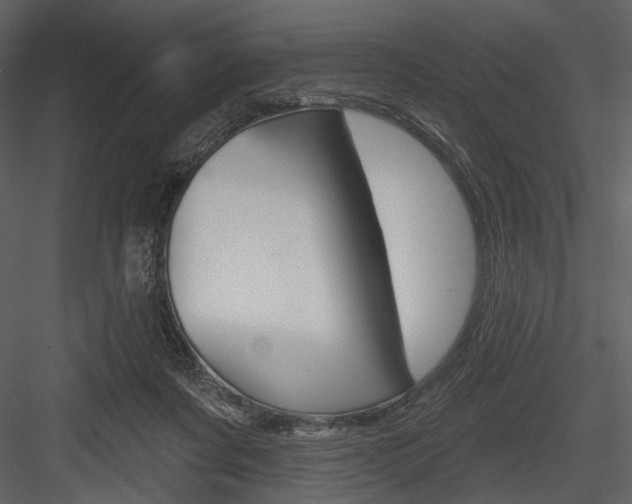 X0000084540311200702230915