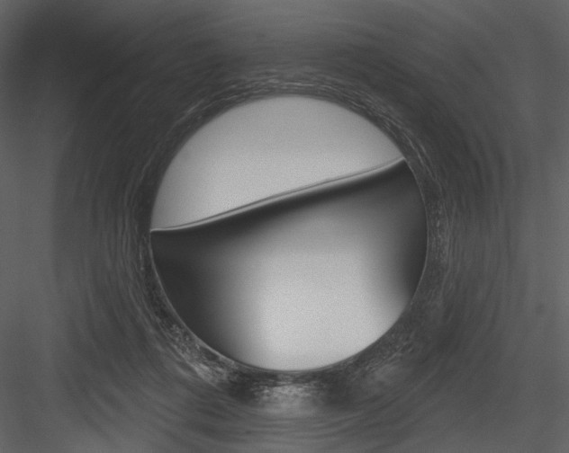 X0000084540312200702230915
