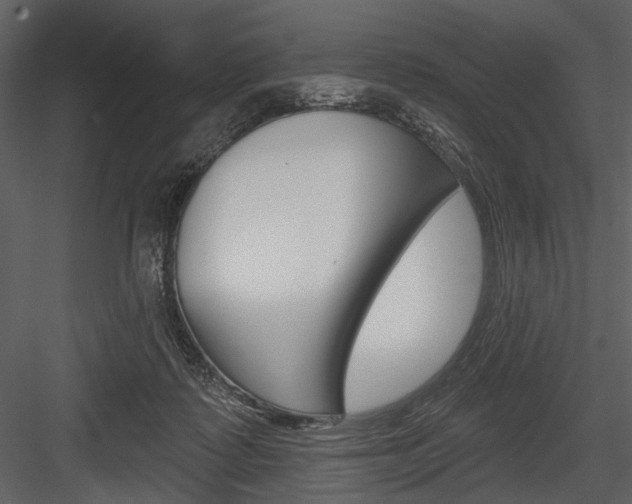 X0000084540315200702230915