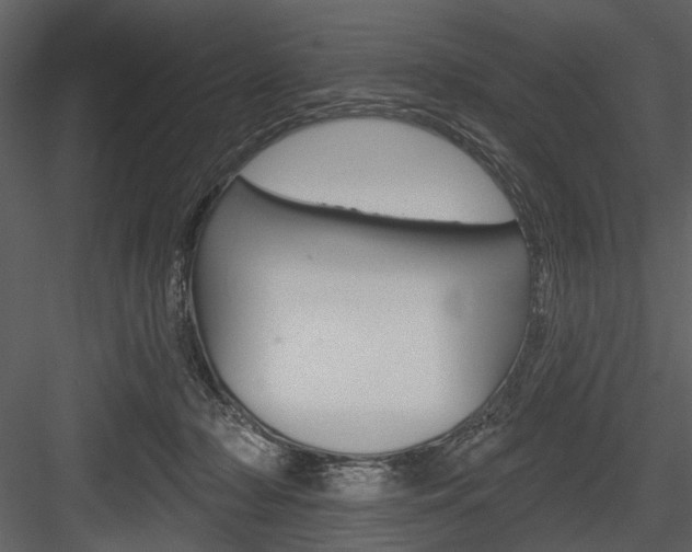 X0000084540318200702230915