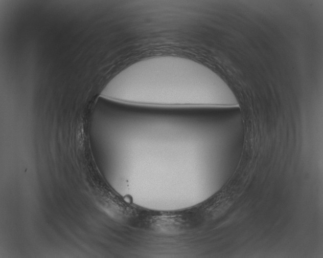 X0000084540320200702230915
