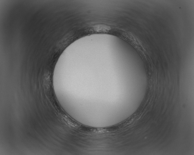 X0000084540321200702230915