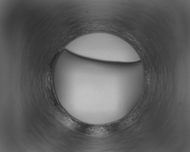 X0000084540322200702230915