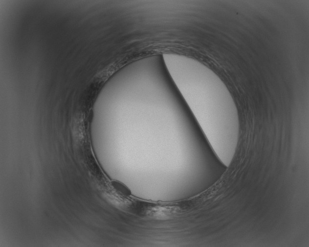 X0000084540323200702230915