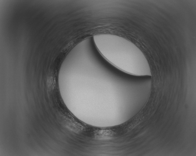 X0000084540324200702230915