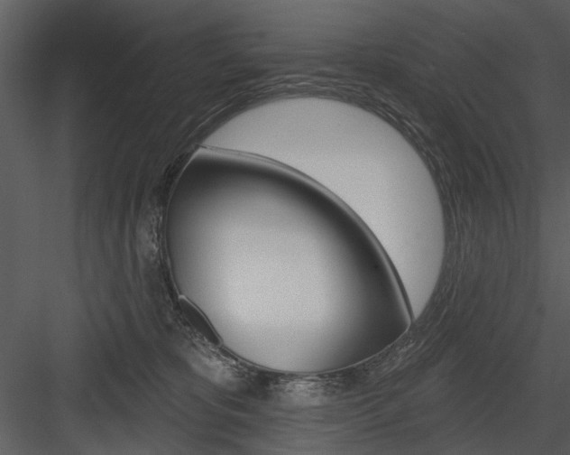 X0000084540325200702230915