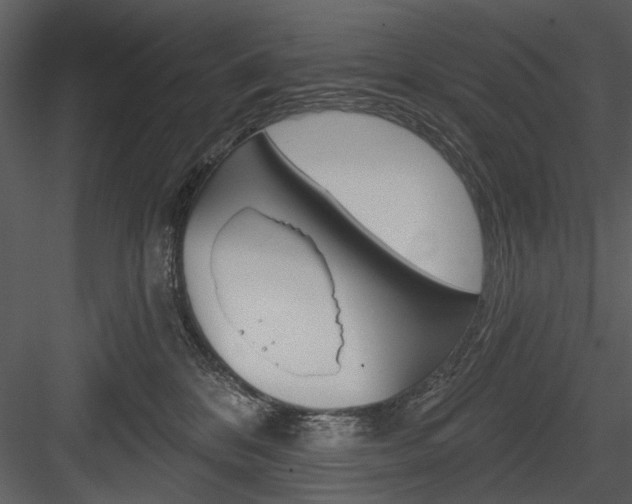 X0000084540328200702230915