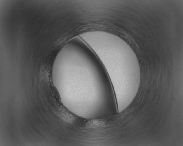 X0000084540329200702230915