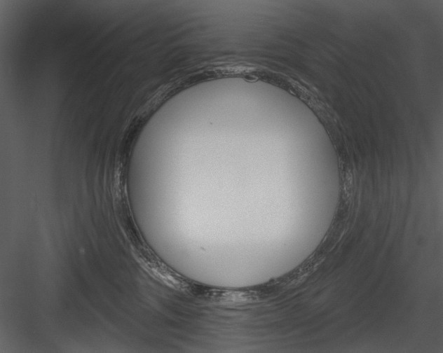 X0000084540330200702230915