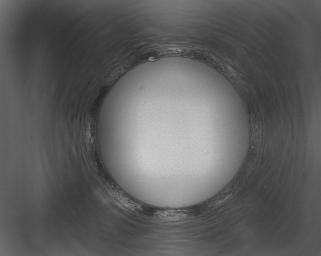 X0000084540331200702230915