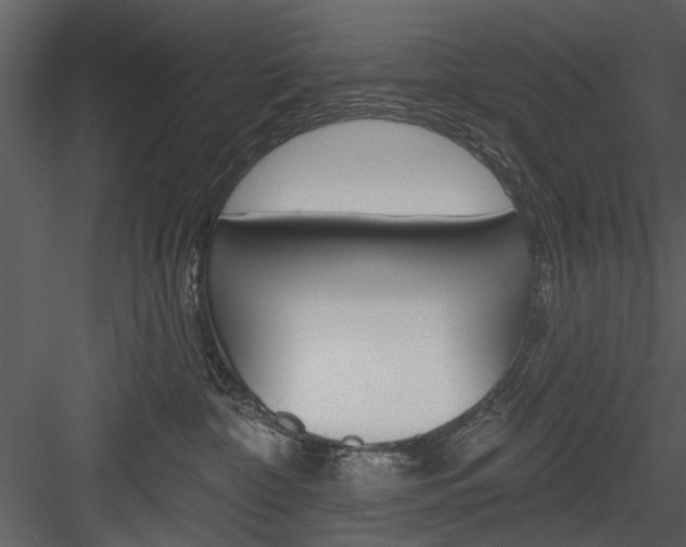 X0000084540332200702230915