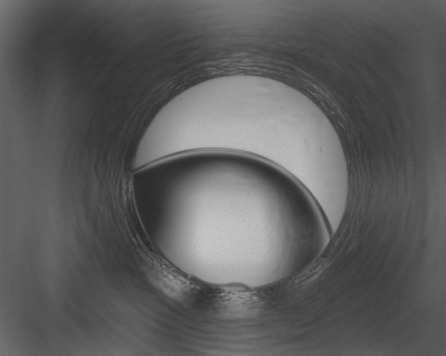 X0000084540333200702230915