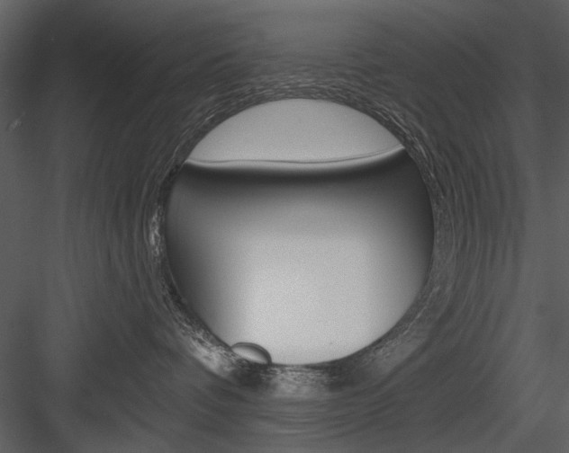 X0000084540336200702230915