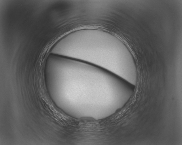X0000084540337200702230914