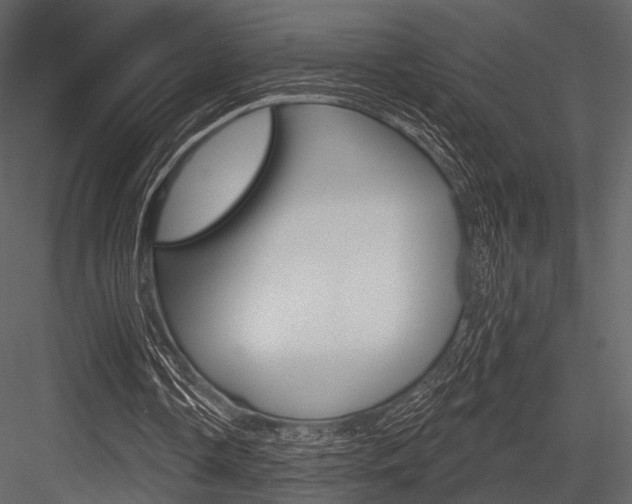X0000084540338200702230914