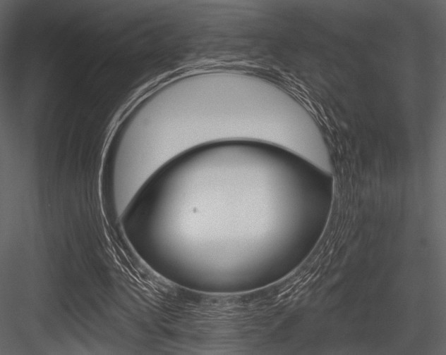 X0000084540340200702230914