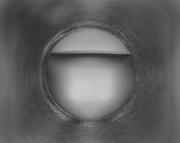X0000084540341200702230914