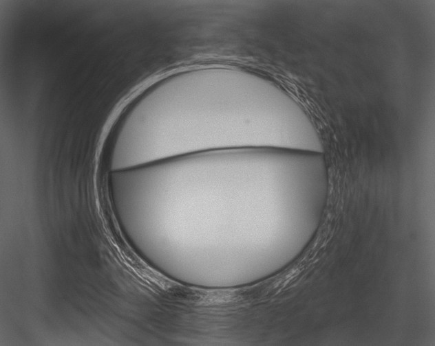 X0000084540342200702230914