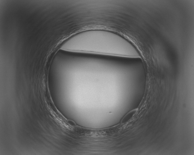X0000084540345200702230914