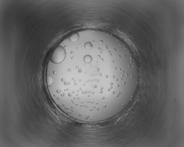 X0000084540346200702230914