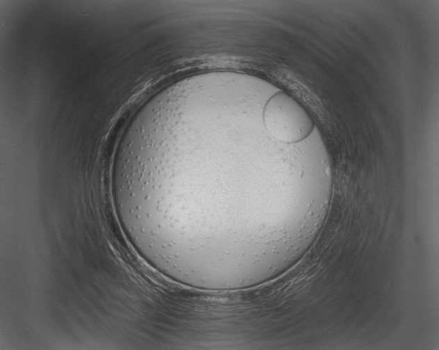 X0000084540347200702230914