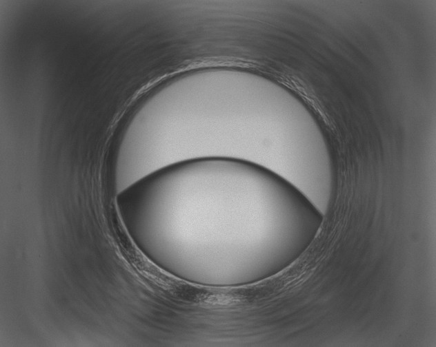 X0000084540348200702230914