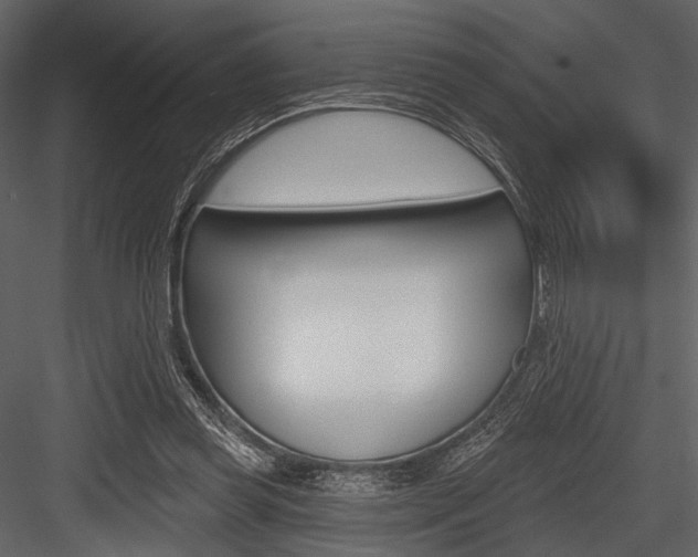 X0000084540349200702230914