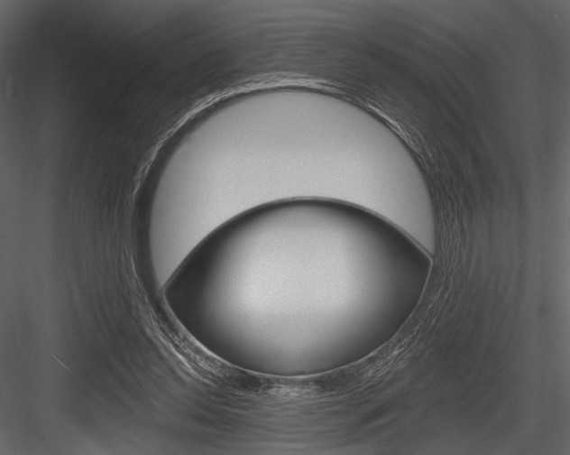 X0000084540350200702230914