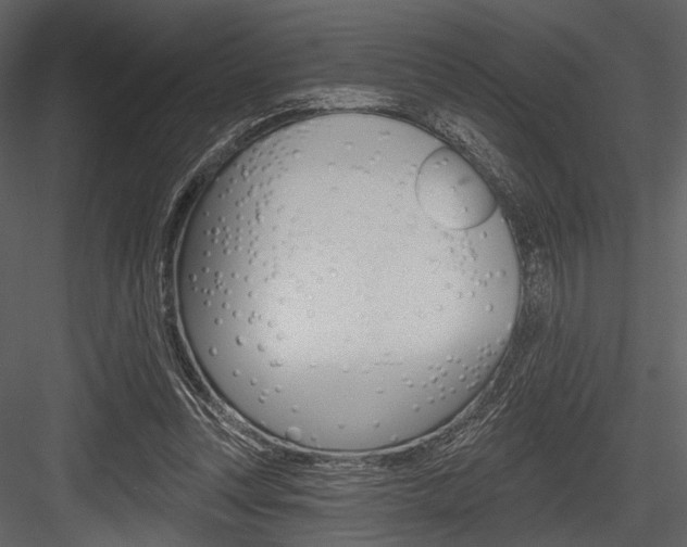 X0000084540351200702230914
