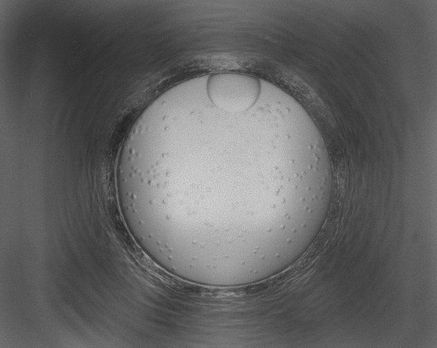 X0000084540359200702230914