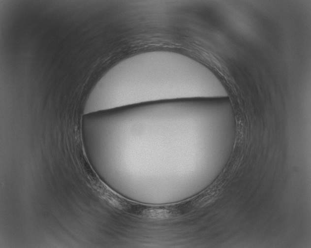 X0000084540361200702230914