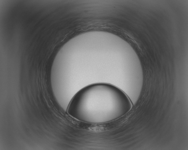 X0000084540362200702230914