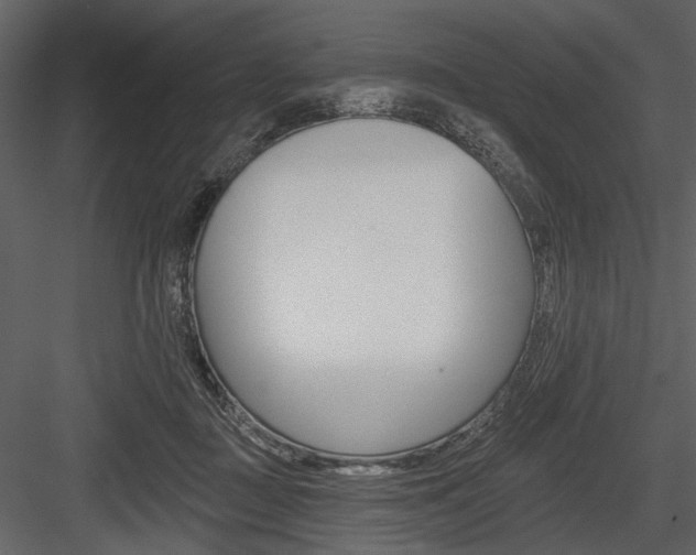 X0000084540363200702230914
