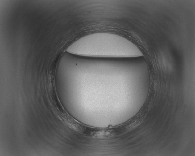 X0000084540366200702230915
