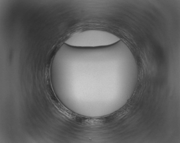 X0000084540367200702230915