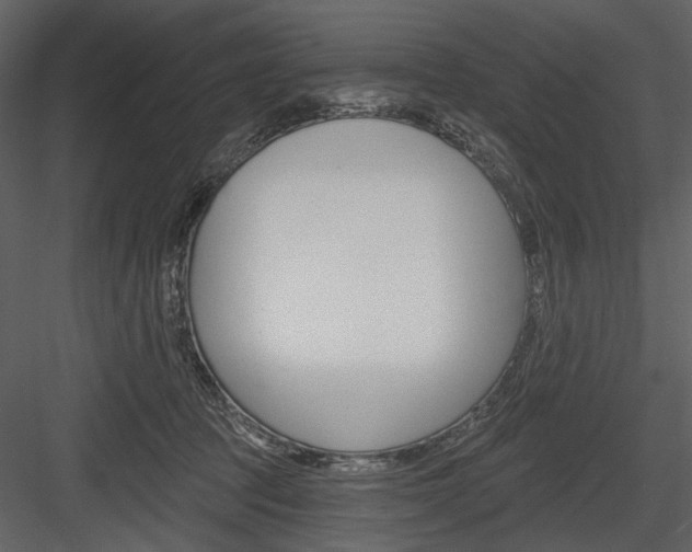 X0000084540369200702230915