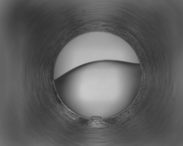X0000084540372200702230915