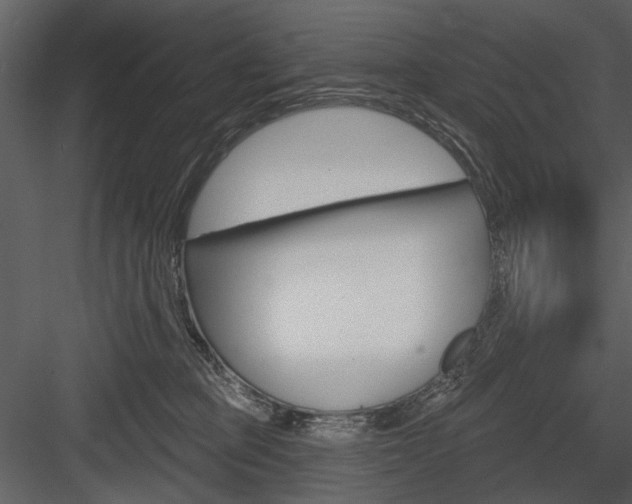 X0000084540373200702230915