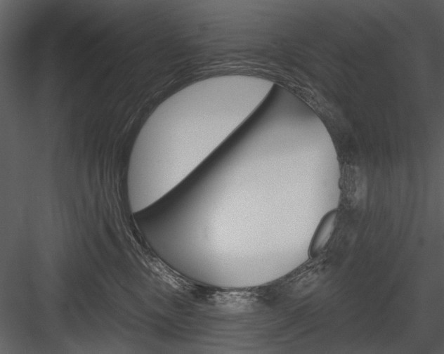 X0000084540378200702230915