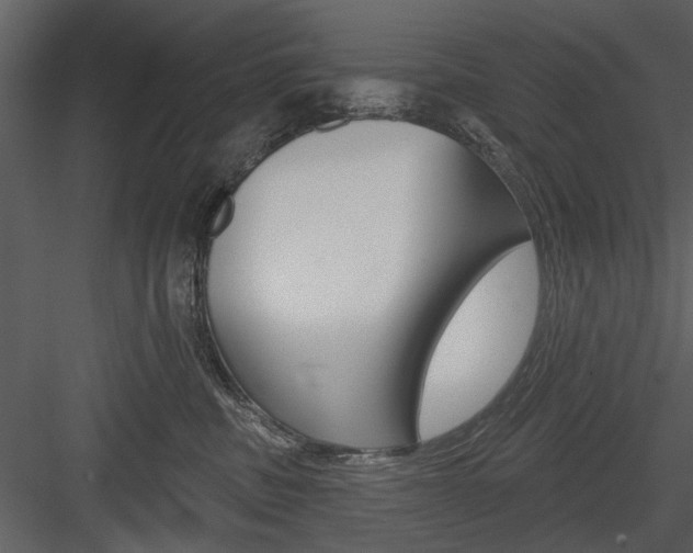 X0000084540379200702230915