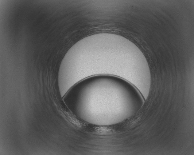 X0000084540380200702230915