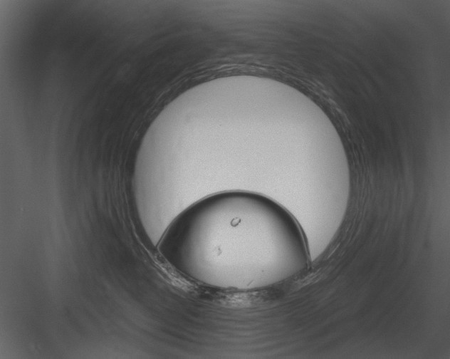 X0000084540382200702230915