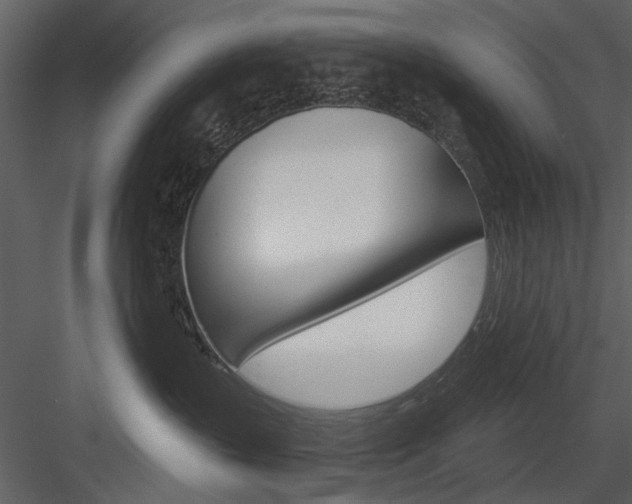 X0000084540383200702230915