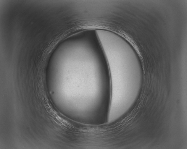 X0000084540385200702230914