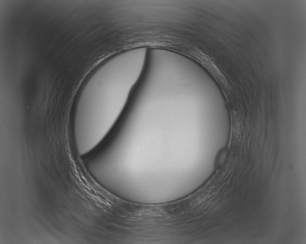 X0000084540386200702230914