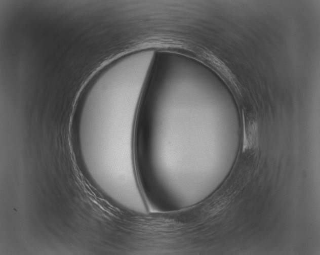 X0000084540387200702230914