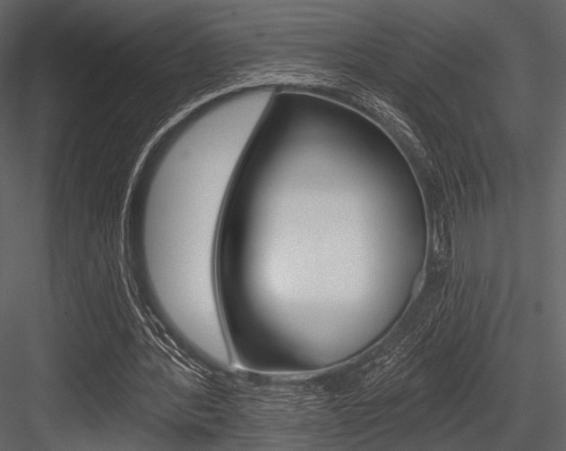 X0000084540388200702230914