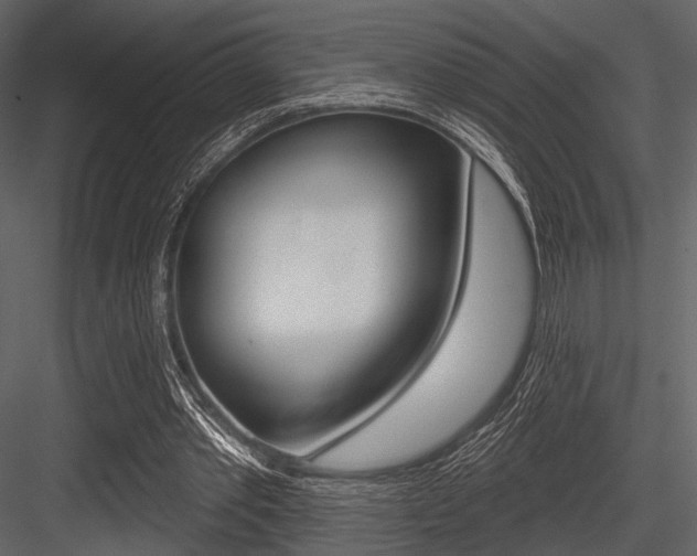 X0000084540389200702230914