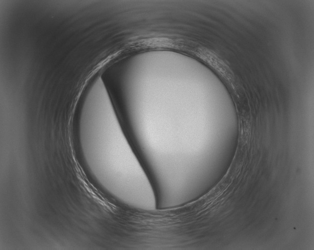 X0000084540390200702230914